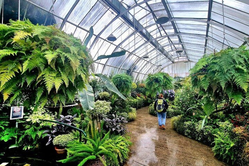 Christchurch City Highlights Half Day Tour 5