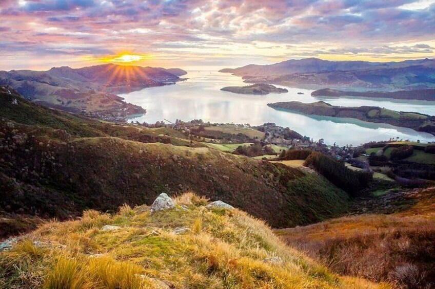 Christchurch City Highlights Half Day Tour 2