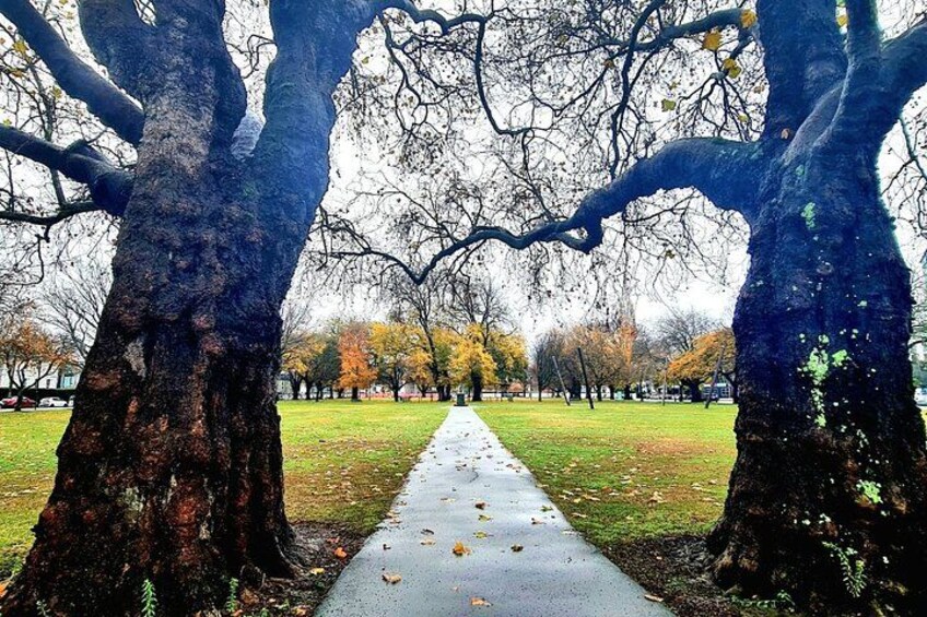 Christchurch City Highlights Half Day Tour 2