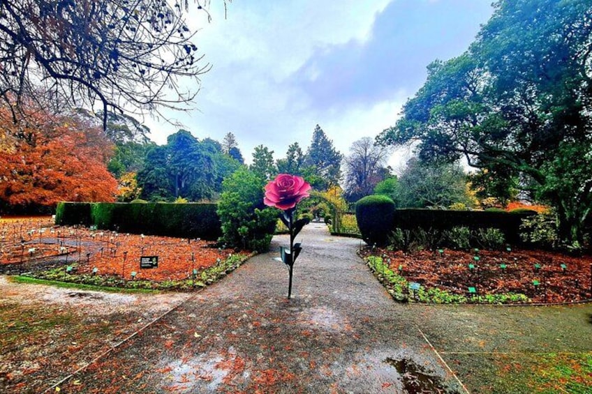 Christchurch City Highlights Half Day Tour 4