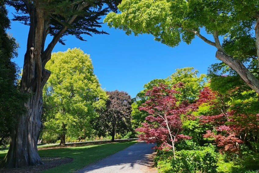 Christchurch City Highlights Half Day Tour 3