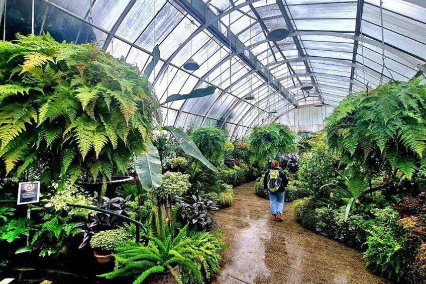 Christchurch City Highlights Half Day Tour 5