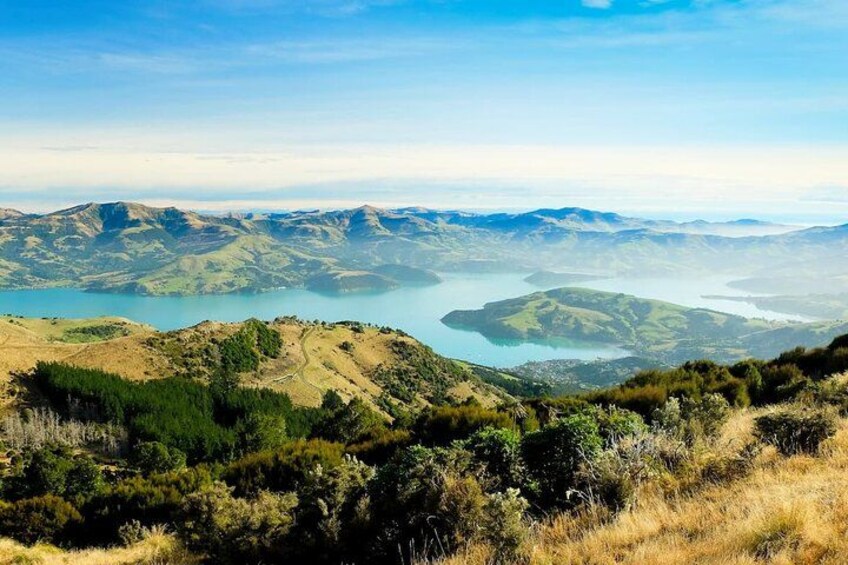 Christchurch City Highlights Half Day Tour 4