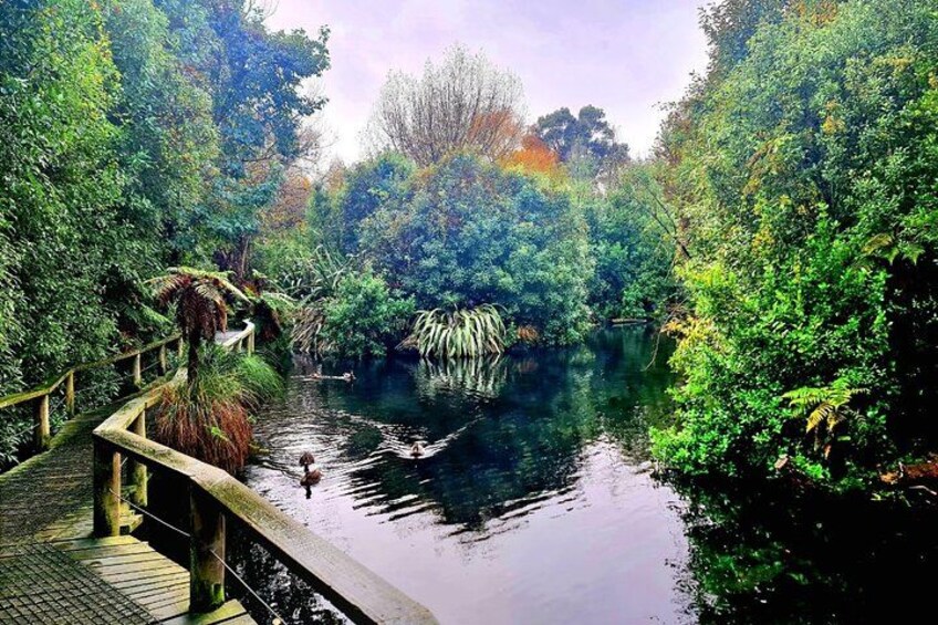 Christchurch City Highlights Half Day Tour 3