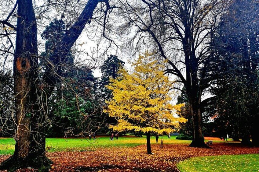 Christchurch City Highlights Half Day Tour 4