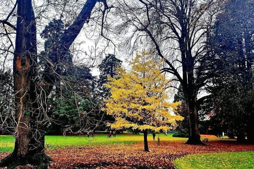 Christchurch City Highlights Half Day Tour 4