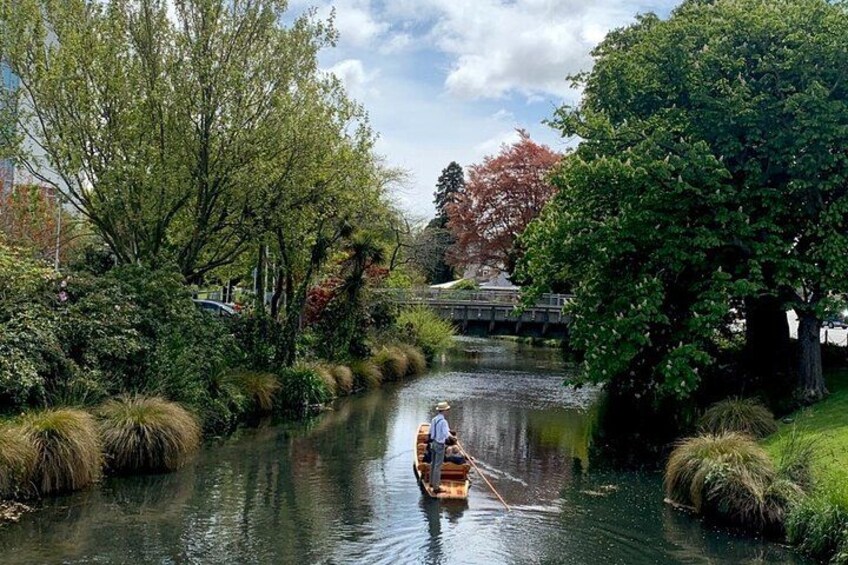 Un río tranquilo con una persona remando en un bote, rodeado de abundante vegetación y árboles. 5