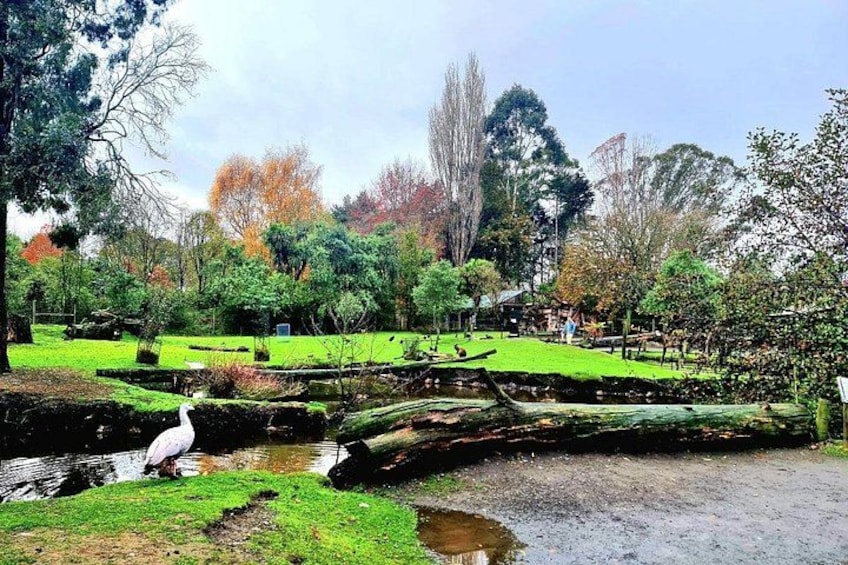 Christchurch City Highlights Half Day Tour 2