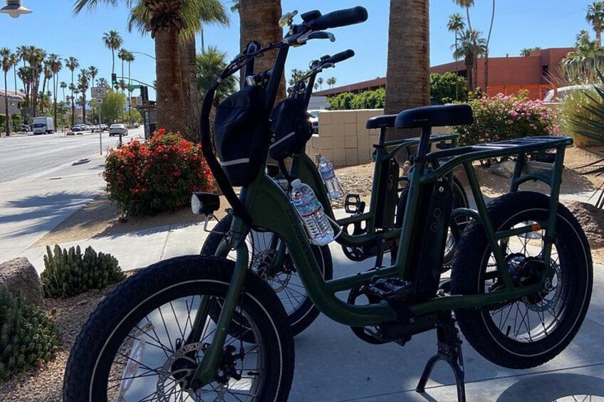 French Bicycle Tour of Palm Springs 2