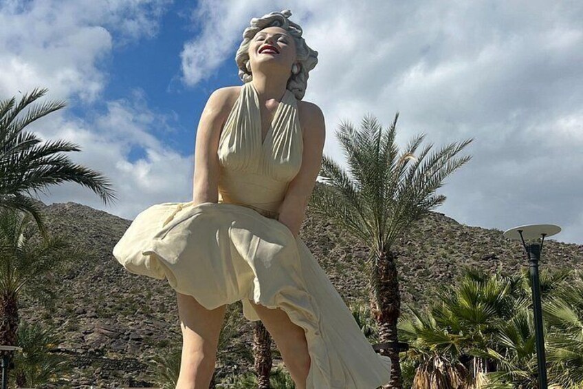French Bicycle Tour of Palm Springs 2