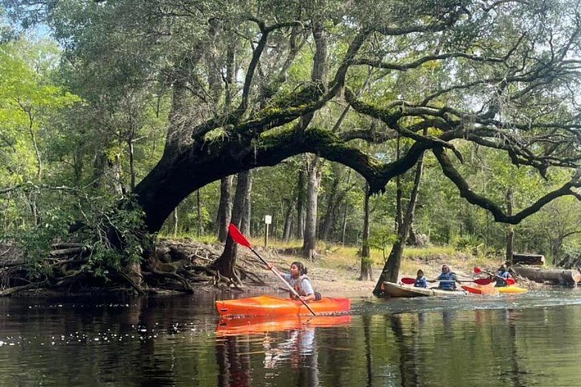 Kayak Rental on the Waccamaw River 5