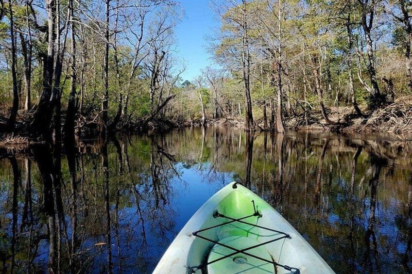 Kayak Rental on the Waccamaw River 2