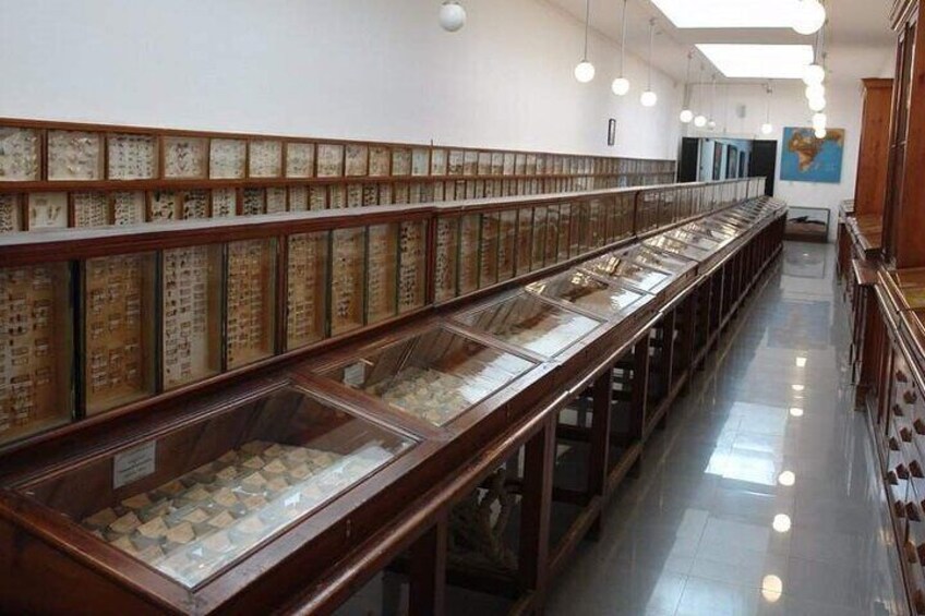 Oran Museum/ Casbah Algiers/ Santa Cruz 3