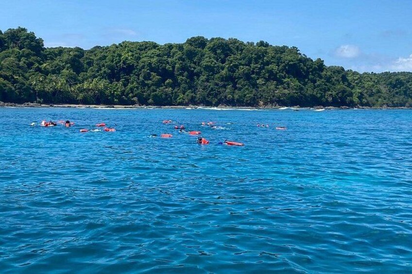 Snorkeling Tour at Caño Island 4