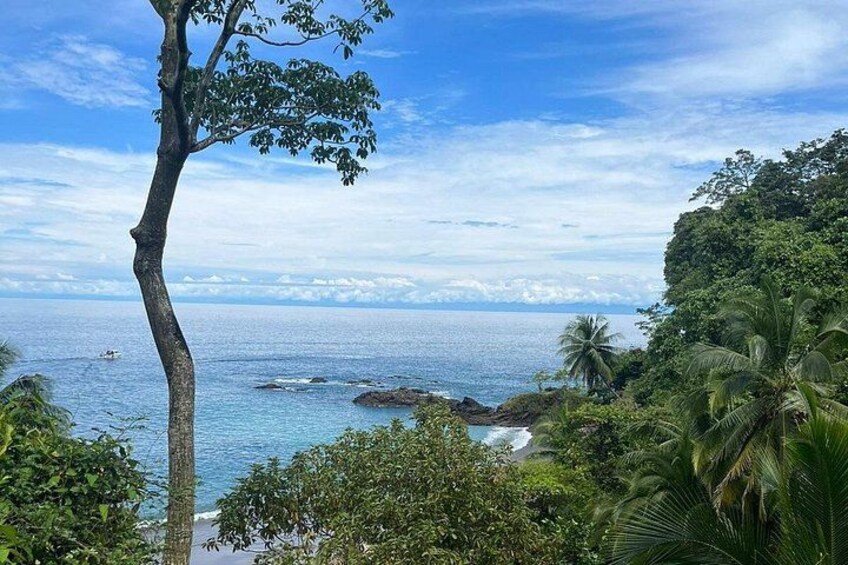 Snorkeling Tour at Caño Island 2