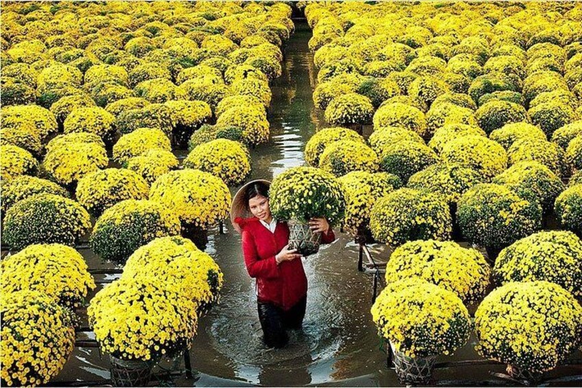 A person holding a plant amidst a field of yellow flowers. 1