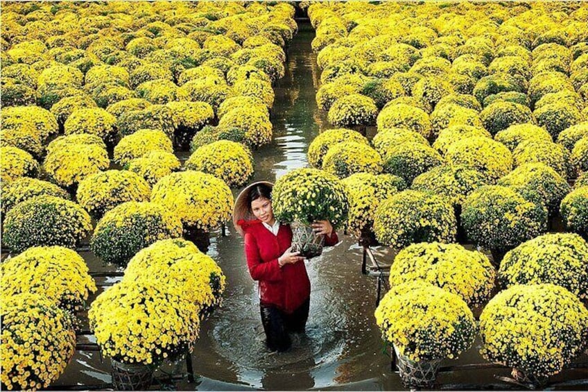 A person holding a plant amidst a field of yellow flowers. 1