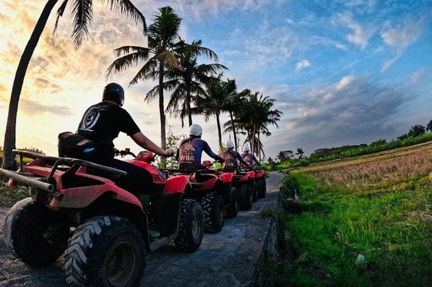 A group of people on ATVs on a rural road with palm trees and fields. 1