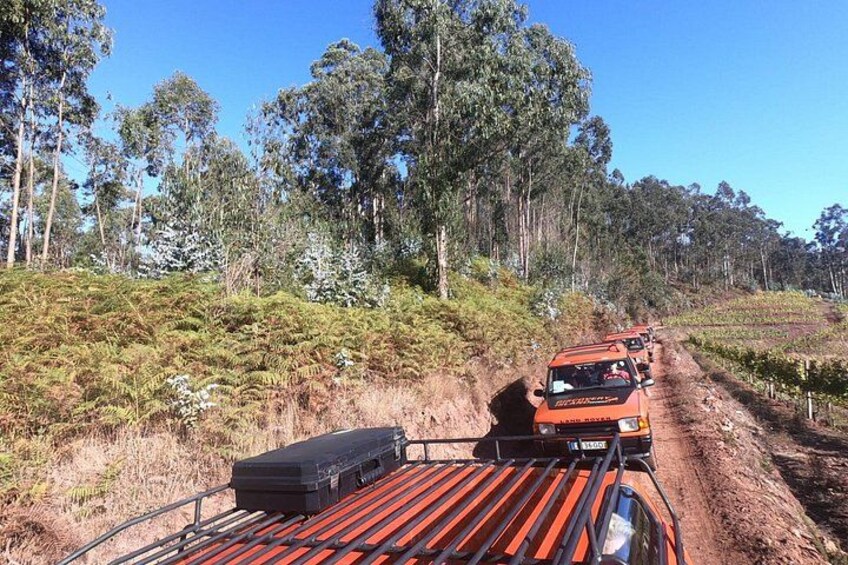 A dirt road with vehicles and a trailer. 5