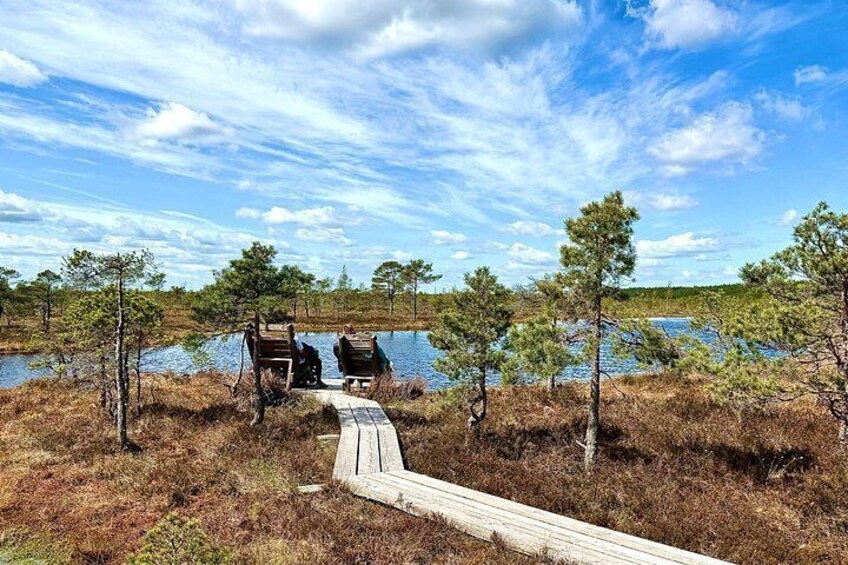 A wooden boardwalk leading to a bench by a lake surrounded by trees. 4