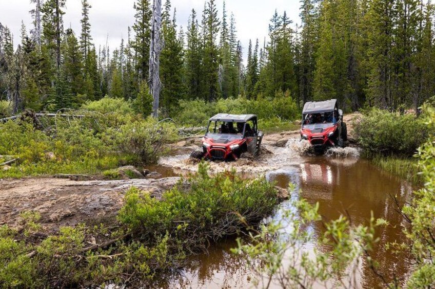 Two off-road vehicles navigating a muddy terrain with a forested background. 2