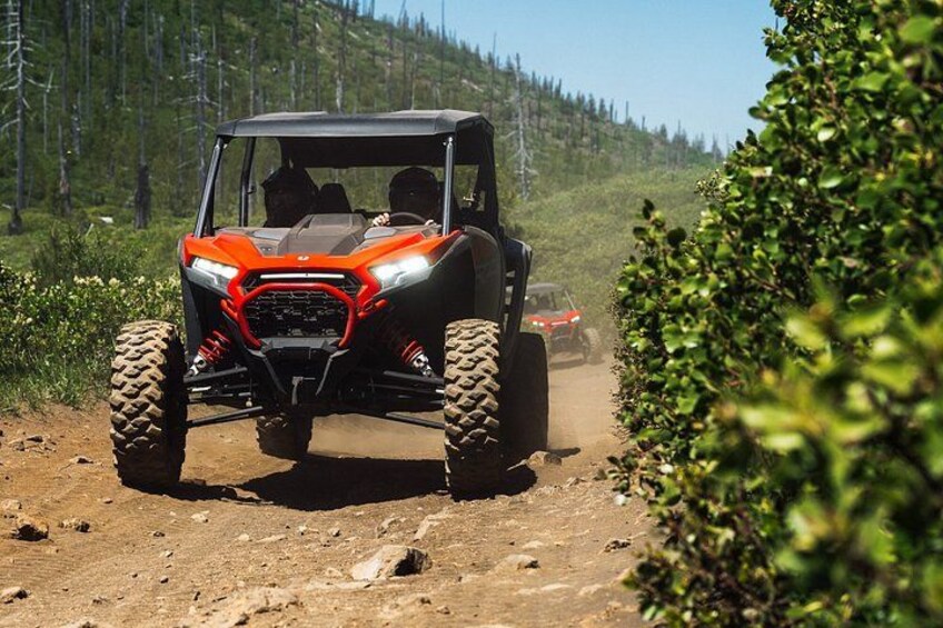 A red off-road vehicle on a dirt path with a forested hill in the background. 4