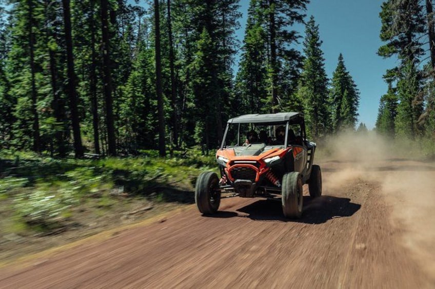 A vehicle driving on a dirt road through a forest. 5