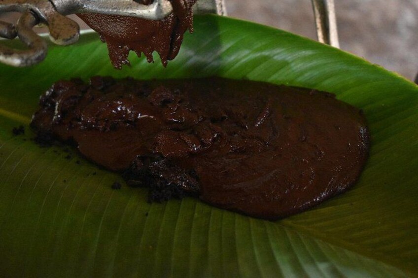 Cahuita National Park & Bribri chocolate & Waterfall visit. 2