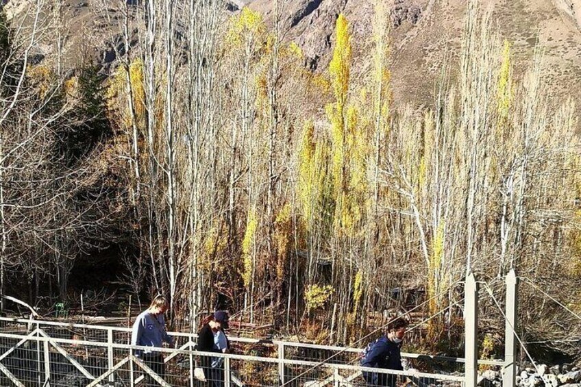 A group of people standing near a fence in a mountainous area with sparse trees. 2