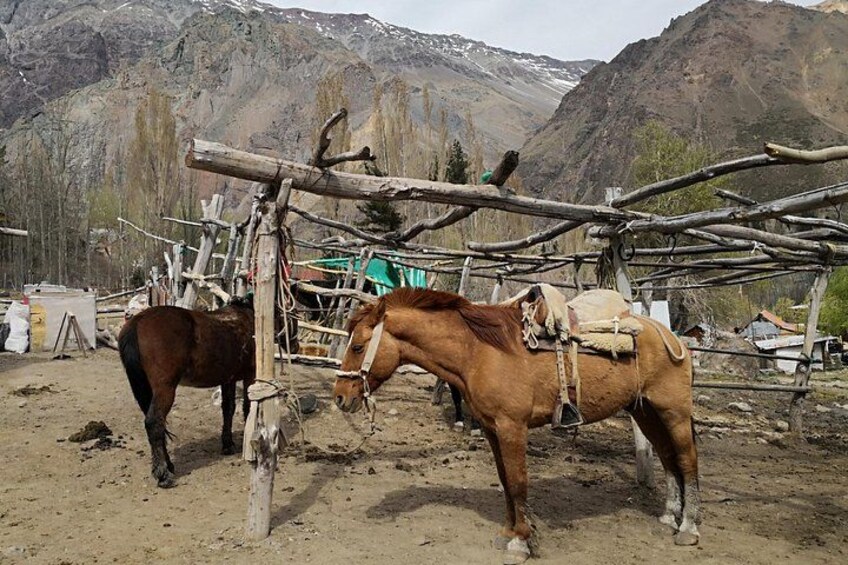 Private Guided Tour in Maipo Canyon with Winery 2