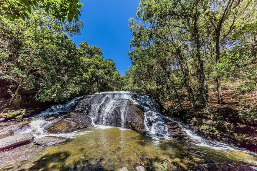 A waterfall surrounded by dense green foliage. 1