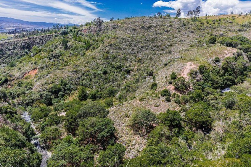 A hilly landscape with dense vegetation and a river flowing through it. 3