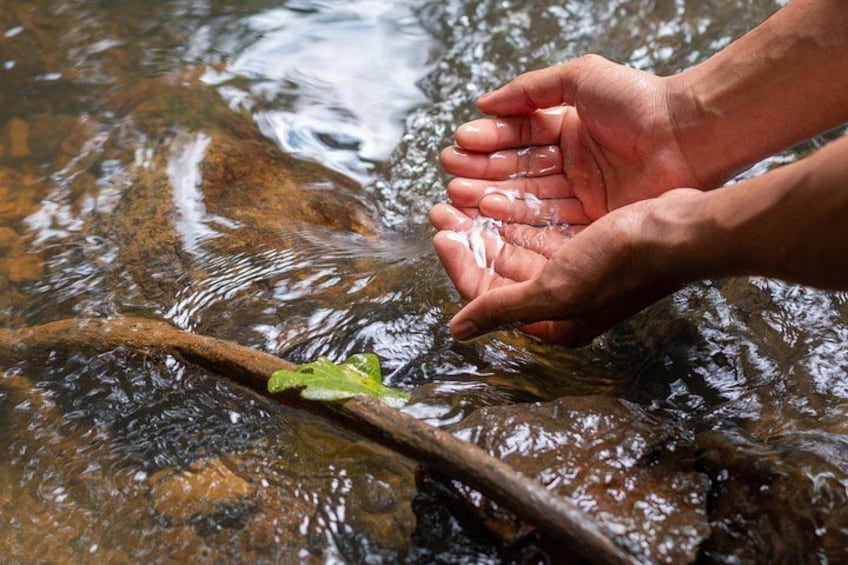 Hands cupping water from a stream with a green leaf floating on the surface. 5