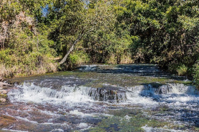 A waterfall in a forested area with dense greenery and trees. 4