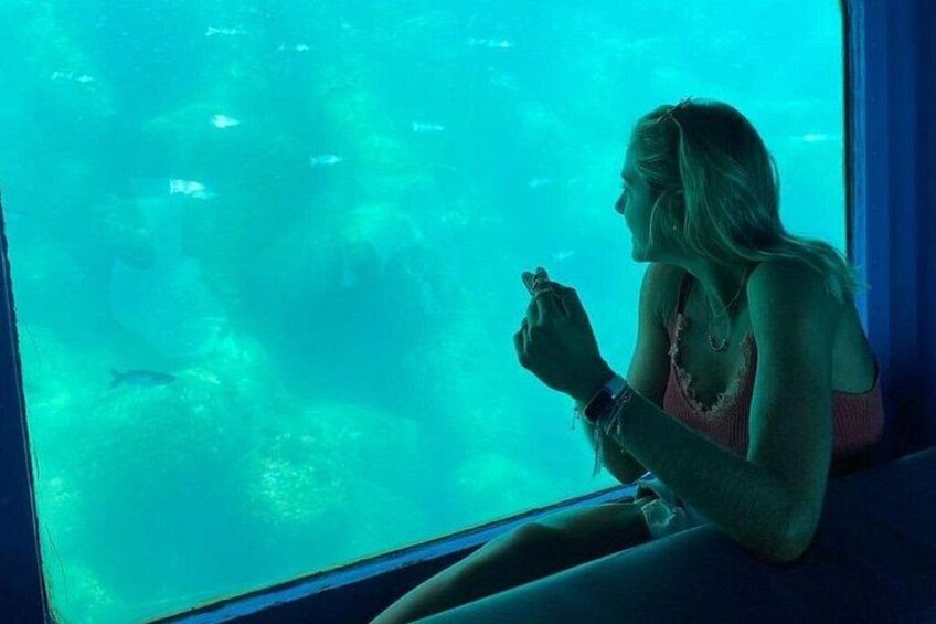 Une personne assise près d’une fenêtre, d’où l’on peut admirer le paysage sous-marin. 2