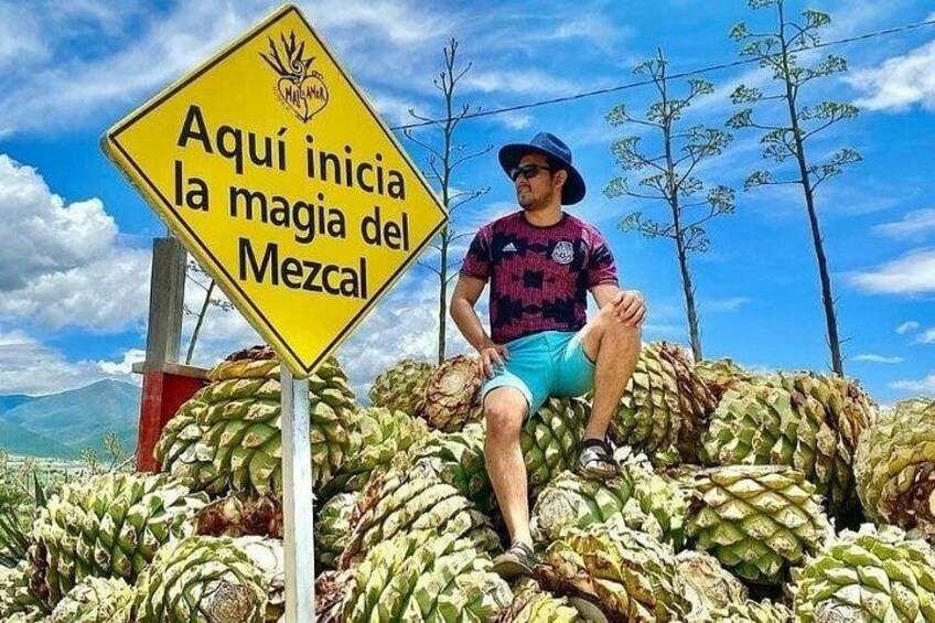 Distillery Tour and Agave Fields by Mal de Amor Mezcal 2