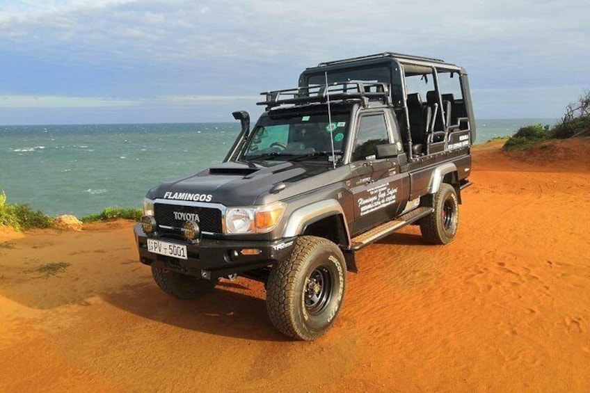 Yala National Park Safari : Special Guided Tour 5