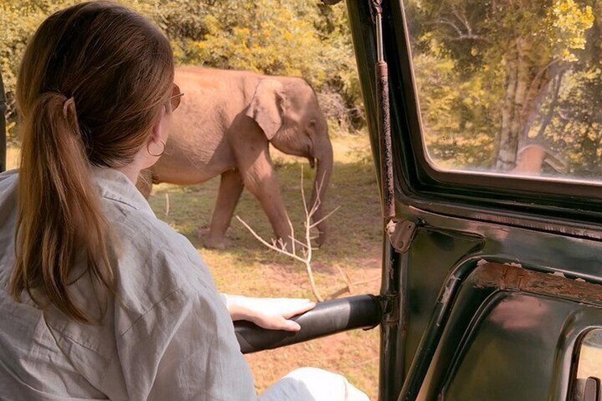 Yala National Park Safari : Special Guided Tour 3