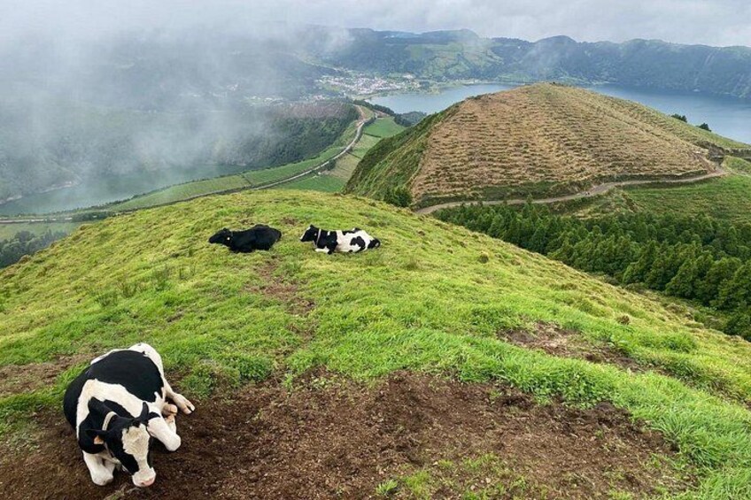 4x4 Half Day - Sete Cidades Tour 3