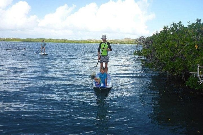 En person paddleboarder på et roligt vandareal med et barn, omgivet af grøn vegetation og en fjerntliggende kystlinje. 3