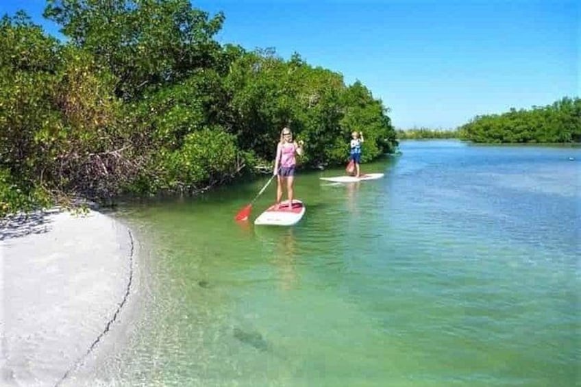 To personer står på paddleboards på en rolig flod omgivet af frodig vegetation. 4