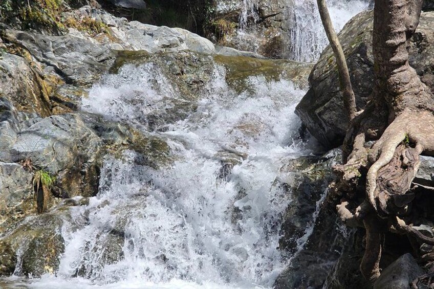 Troodos Mountains Jeep Tour with Wine Tasting 2