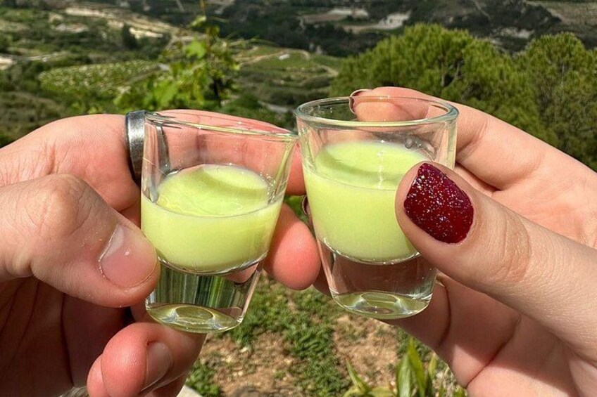 Eine Person hält zwei Schnapsgläser mit grüner Flüssigkeit vor einer Berglandschaft. 3