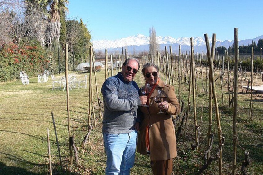 Private tour in the Luján de Cuyo Vineyards 3