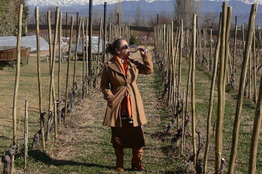 Private tour in the Luján de Cuyo Vineyards 2