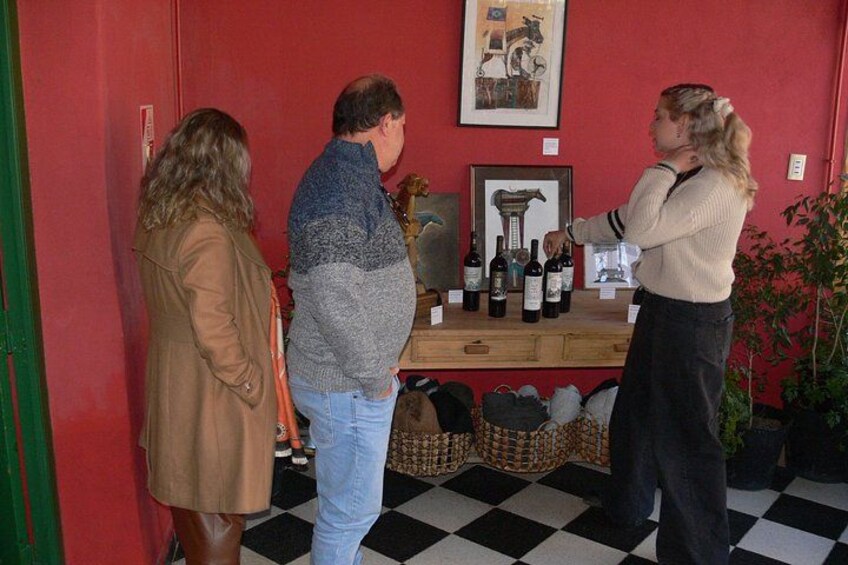 Private tour in the Luján de Cuyo Vineyards 4