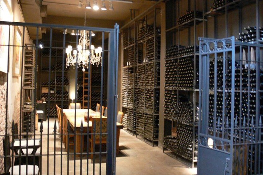 Private tour in the Luján de Cuyo Vineyards 5