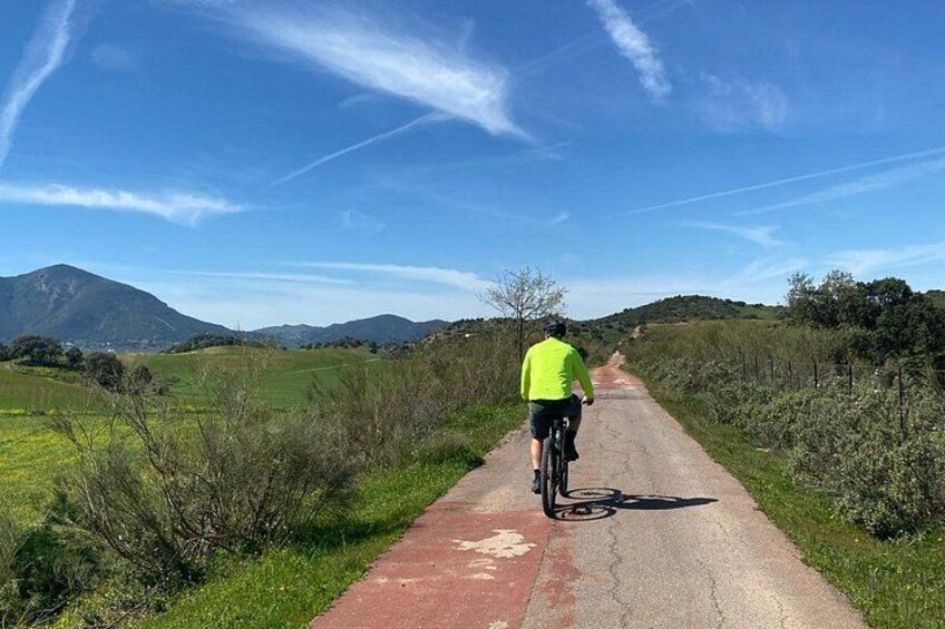 A cyclist on a rural road with green fields and hills in the background. 5