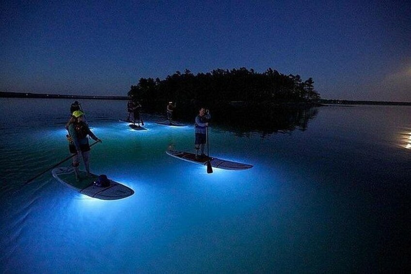 People paddleboarding on a calm body of water at night with artificial lighting. 1