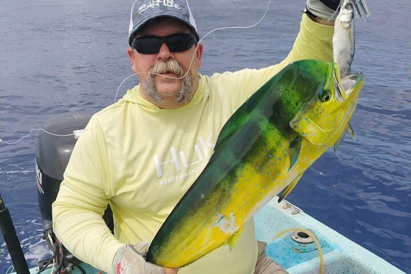 Mahi season! 5
